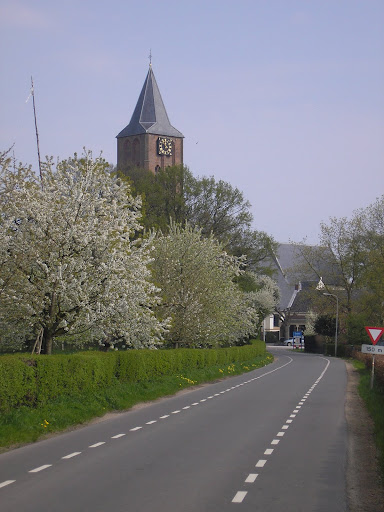 De Betuwe